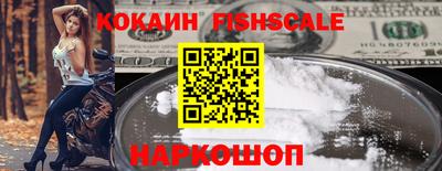дмт Кингисепп