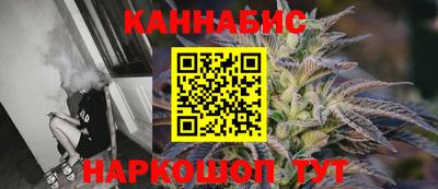 дмт Кингисепп