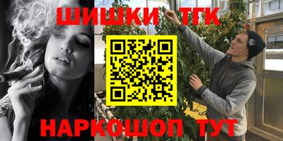 дмт Кингисепп