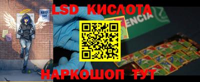дмт Кингисепп