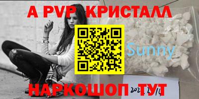 дмт Кингисепп