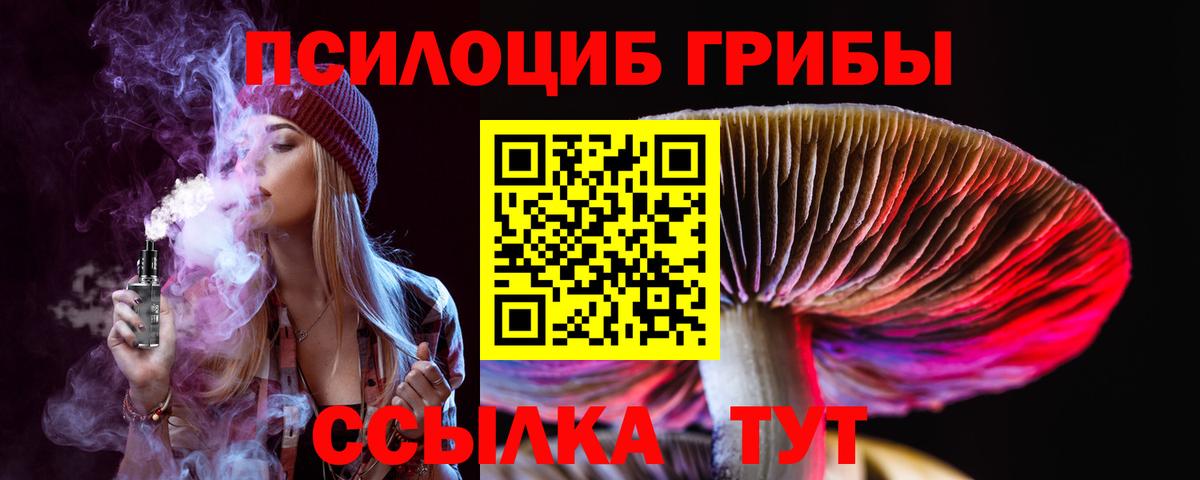 Псилоцибиновые грибы Psilocybine cubensis  Галлюциногенные грибы Psilocybine cubensis  Новосибирск  Вход с VPN 